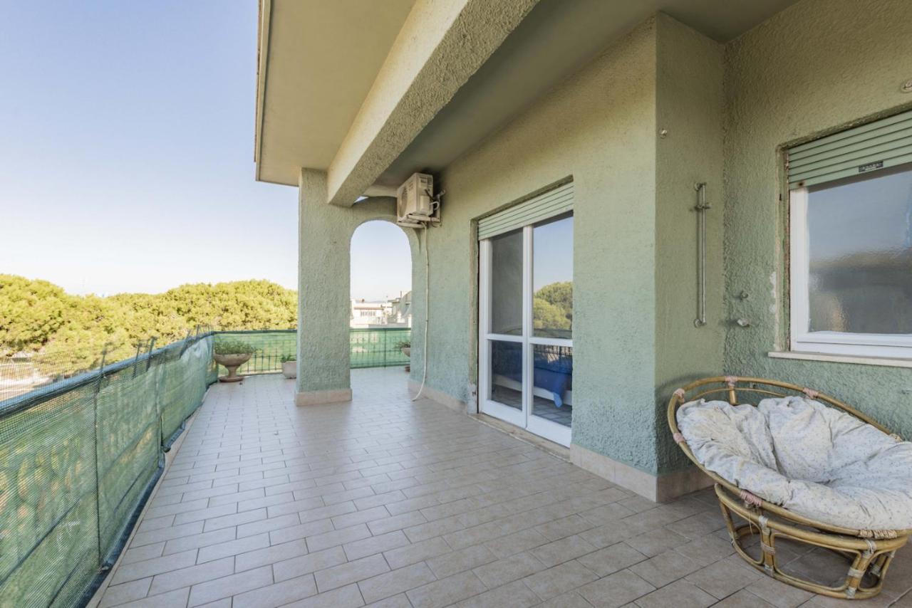 Rosa House Apartment Marina di Cerveteri Екстериор снимка